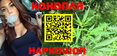 гидра Кимры
