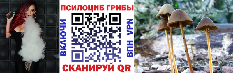 купить наркотик Нижний Новгород Псилоцибиновые грибы мухоморы