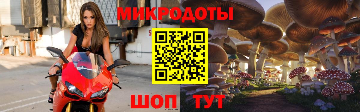 Псилоцибиновые грибы мицелий Нижний Новгород
